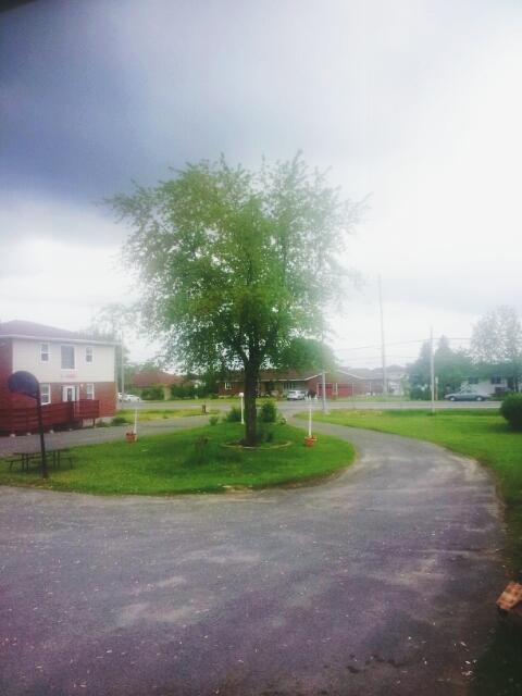 Welcome Traveller Motel Kingston Zewnętrze zdjęcie